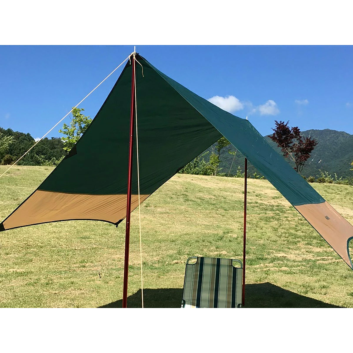 FUTURE FOX タープポール 収納袋付 直径28mm全長240cm (60cm×4本)×2本分 ワインレッド