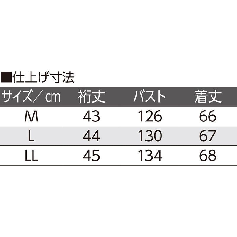 越前花染め抗菌ビックTシャツ くちなし(ブルー) L