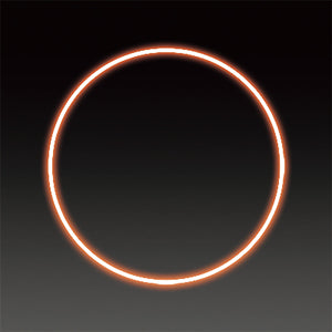 LEDフレキシ リング イルミネーション 飾り オレンジ(大)