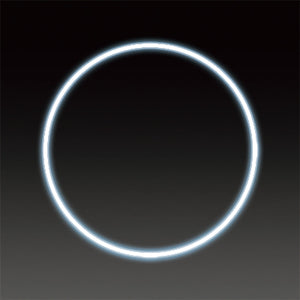 LEDフレキシ リング イルミネーション 飾り ホワイト(大)