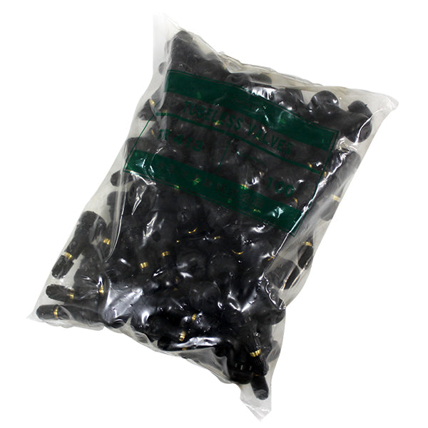 スナップインバルブ TR-413CL 100個