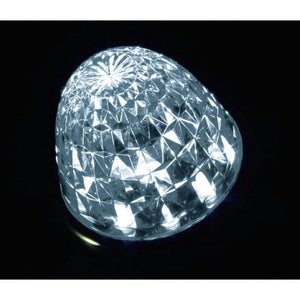 ジェットイノウエ クイーンスターライトバスマーカー 24V ホワイト