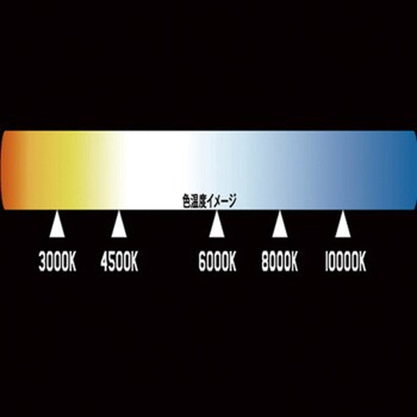 ジェットイノウエ H-4 ハロゲンバルブ 528084