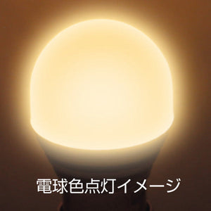 ジェットイノウエ LC-04 LEDハイパワー3Dバルブ 電球色 529590