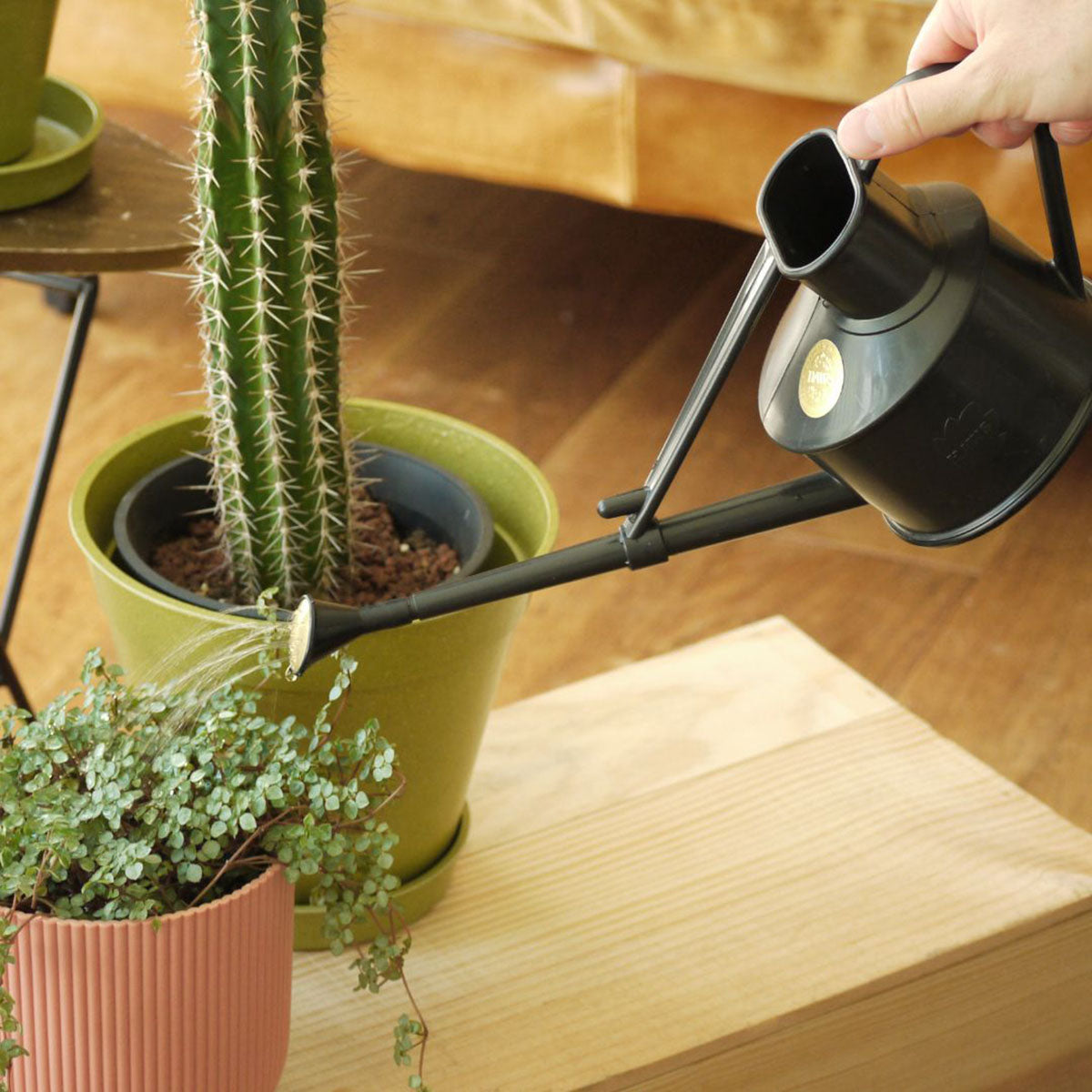 Handy Indoor ジョウロ ガーデニング 0.7L ブラック