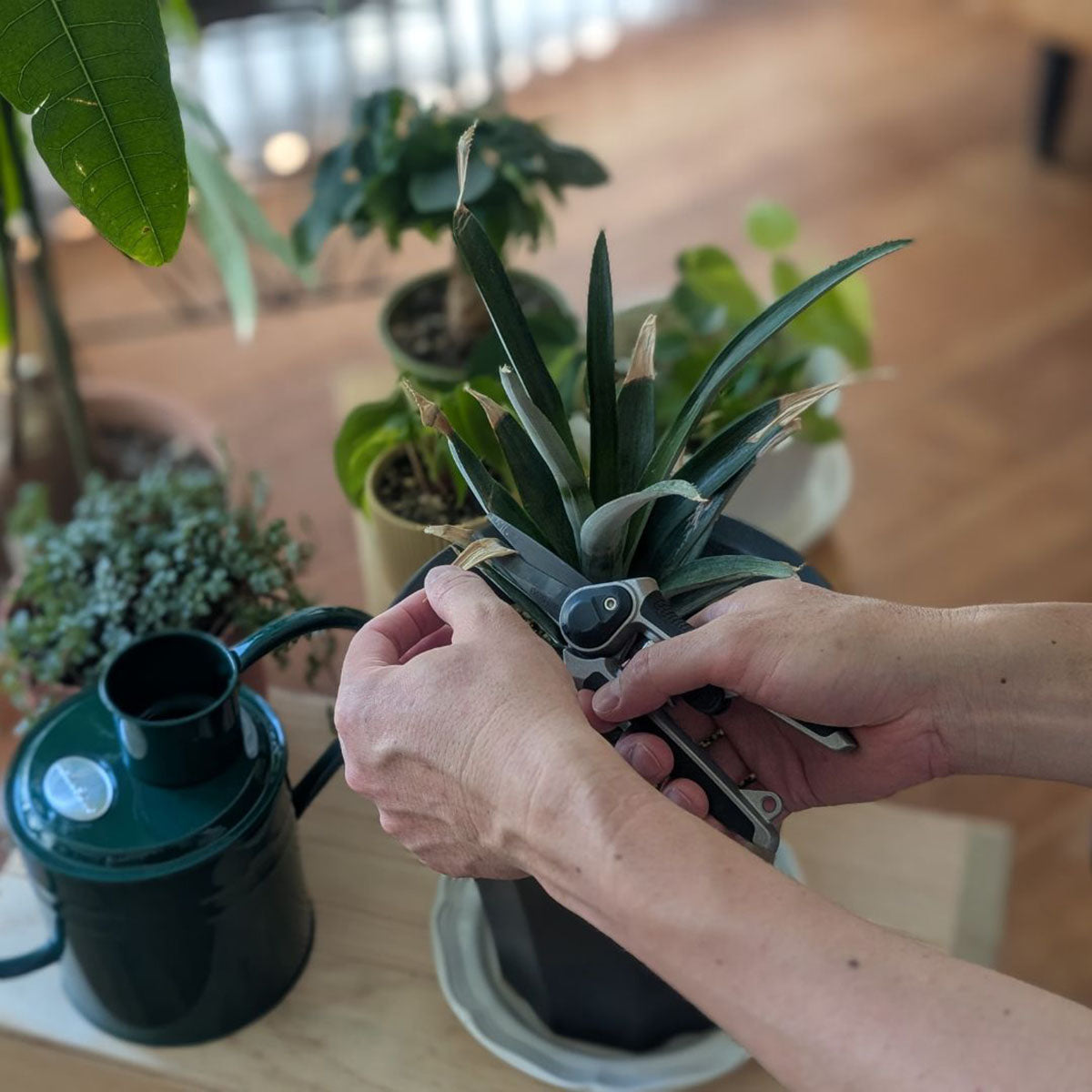 Eversharp Garden Snips 多用途小型剪定ばさみ