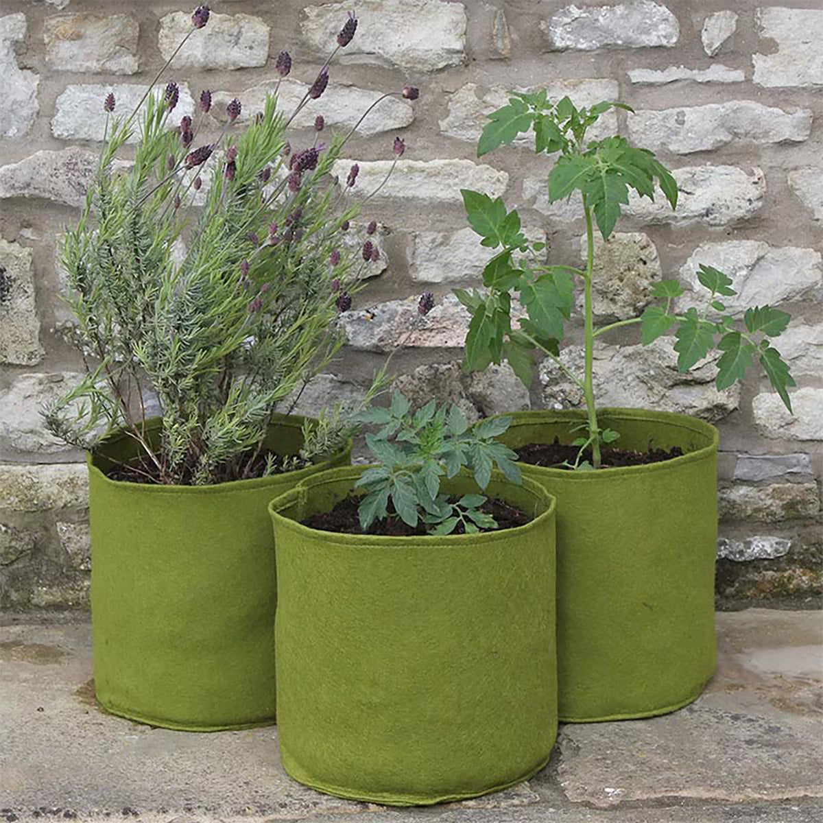 Vigoroot Pots 10L 3-pack 布製鉢 プランター 3枚入り