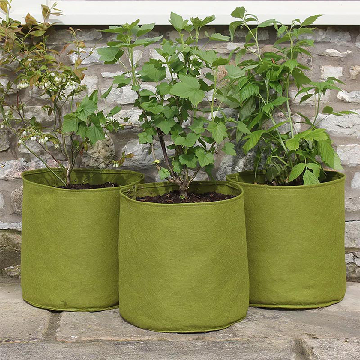 Vigoroot Pots 20L 3-pack 布製鉢 プランター 3枚入り