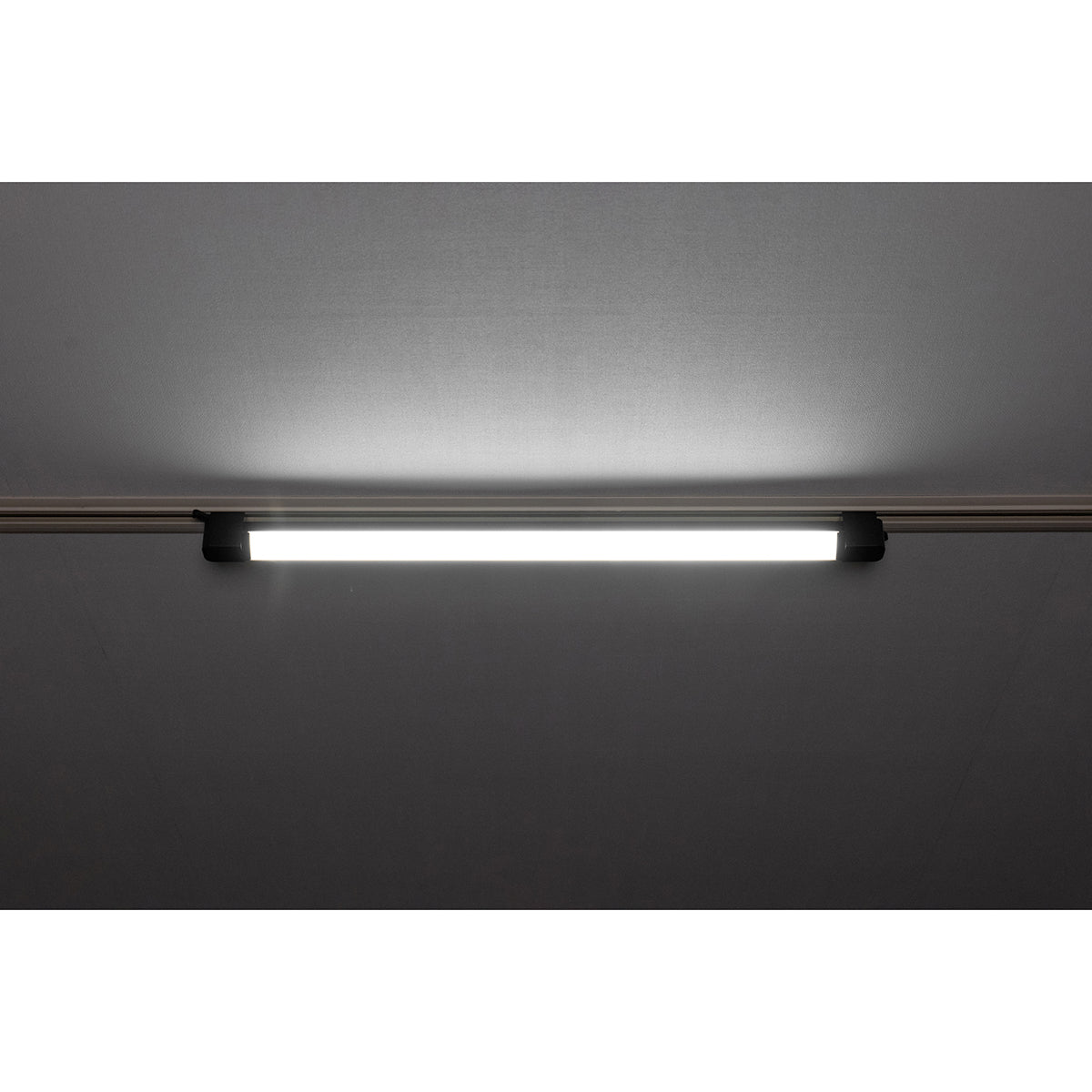 スイングライン LEDダクトライト50 ホワイト 5000K