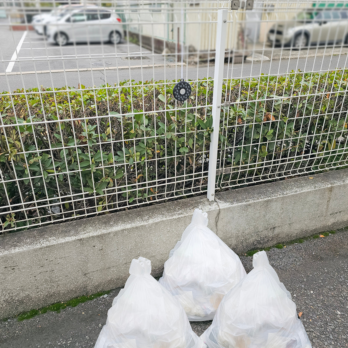 とり去-るブラック 鳥よけ 紐付き 2個入り