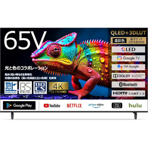 65インチ QLED4K3W2T内蔵GooleTV搭載 スマートテレビ