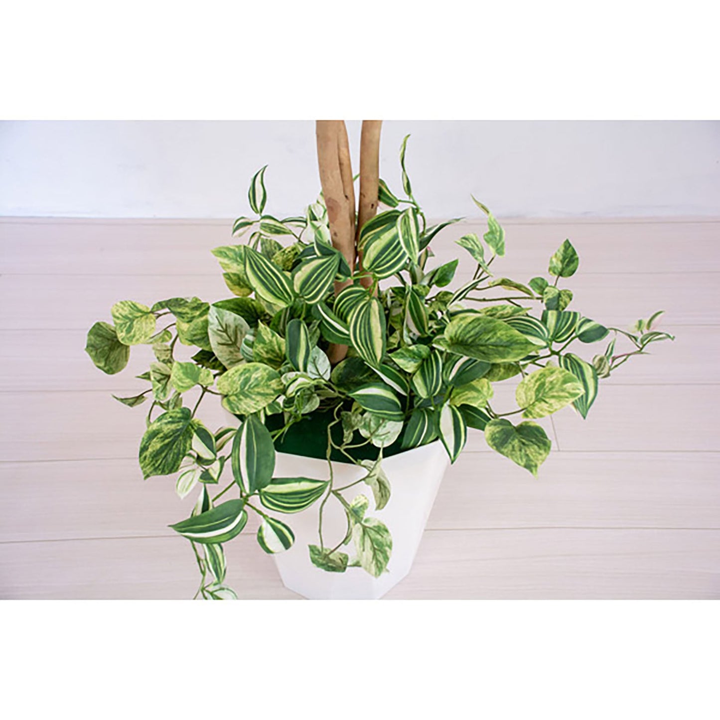 人工樹木/人工観葉植物 ベンジャミン寄植