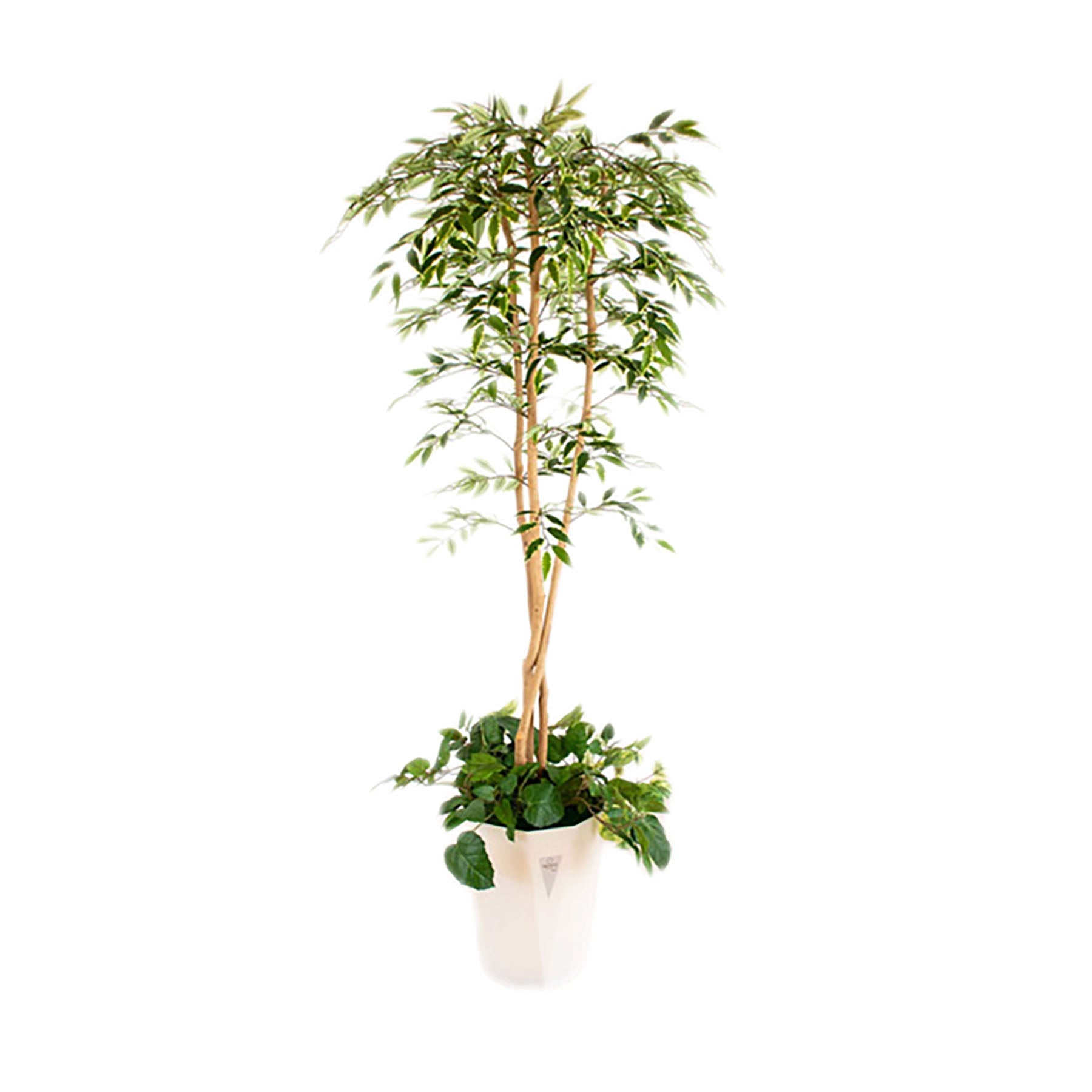 人工樹木／人工観葉植物 シラカシ寄植 – GREEN CROSS-select 工事現場