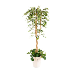 人工樹木/人工観葉植物 シラカシ寄植