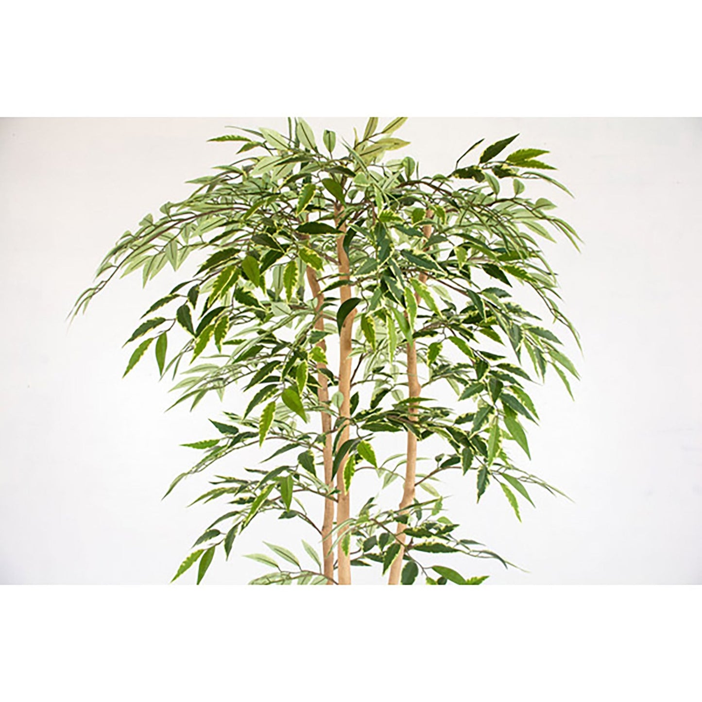 人工樹木/人工観葉植物 シラカシ寄植