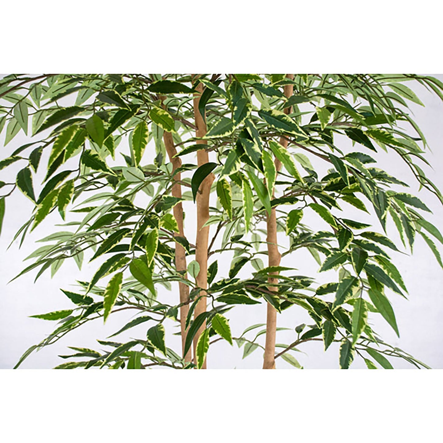 人工樹木/人工観葉植物 シラカシ寄植
