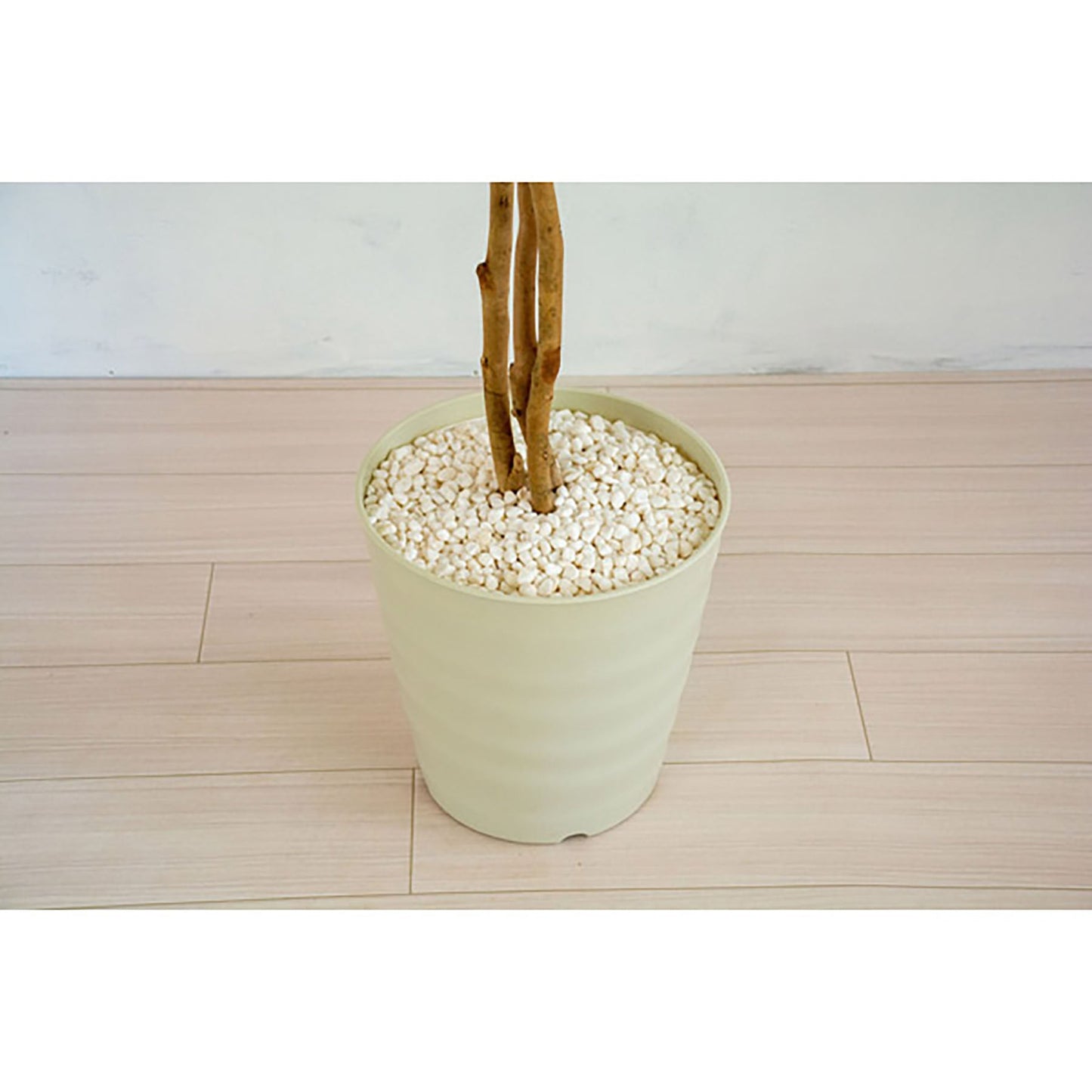 人工樹木/人工観葉植物 ベンジャミン