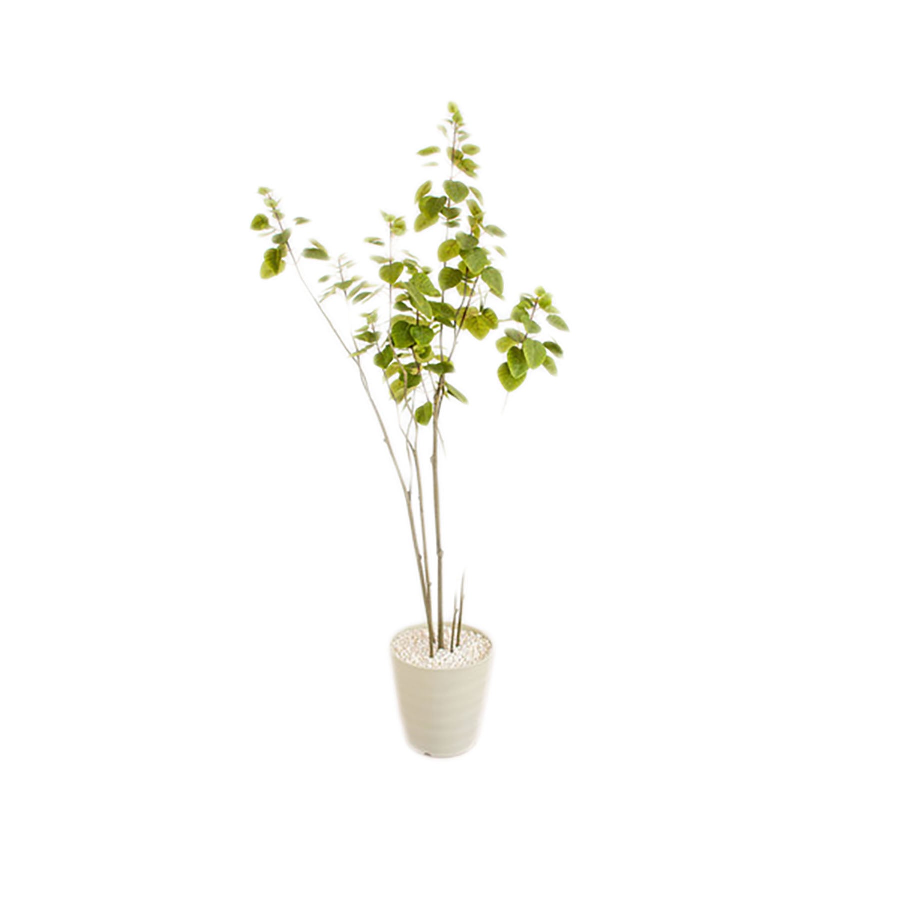 人工樹木／人工観葉植物 スモークツリー – GREEN CROSS-select 工事