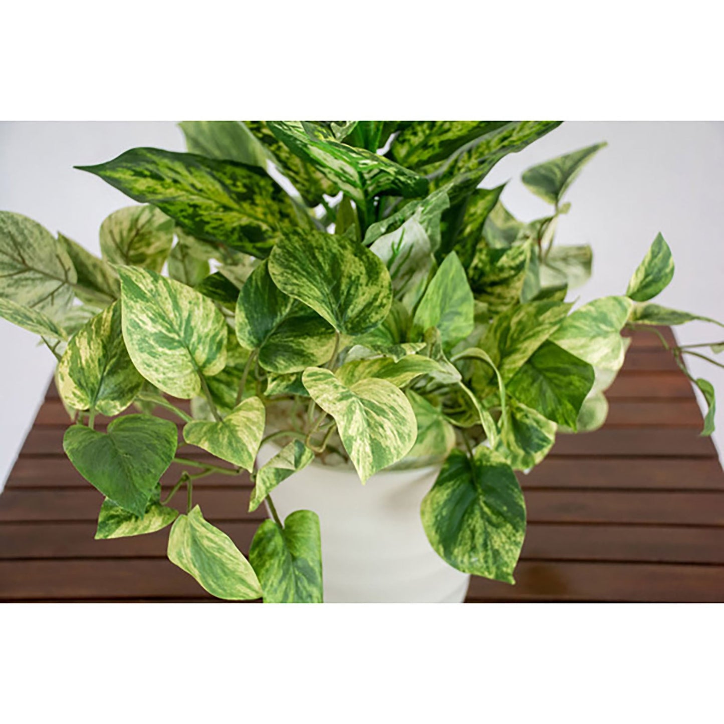 人工樹木/人工観葉植物 ディフェンバキア寄植