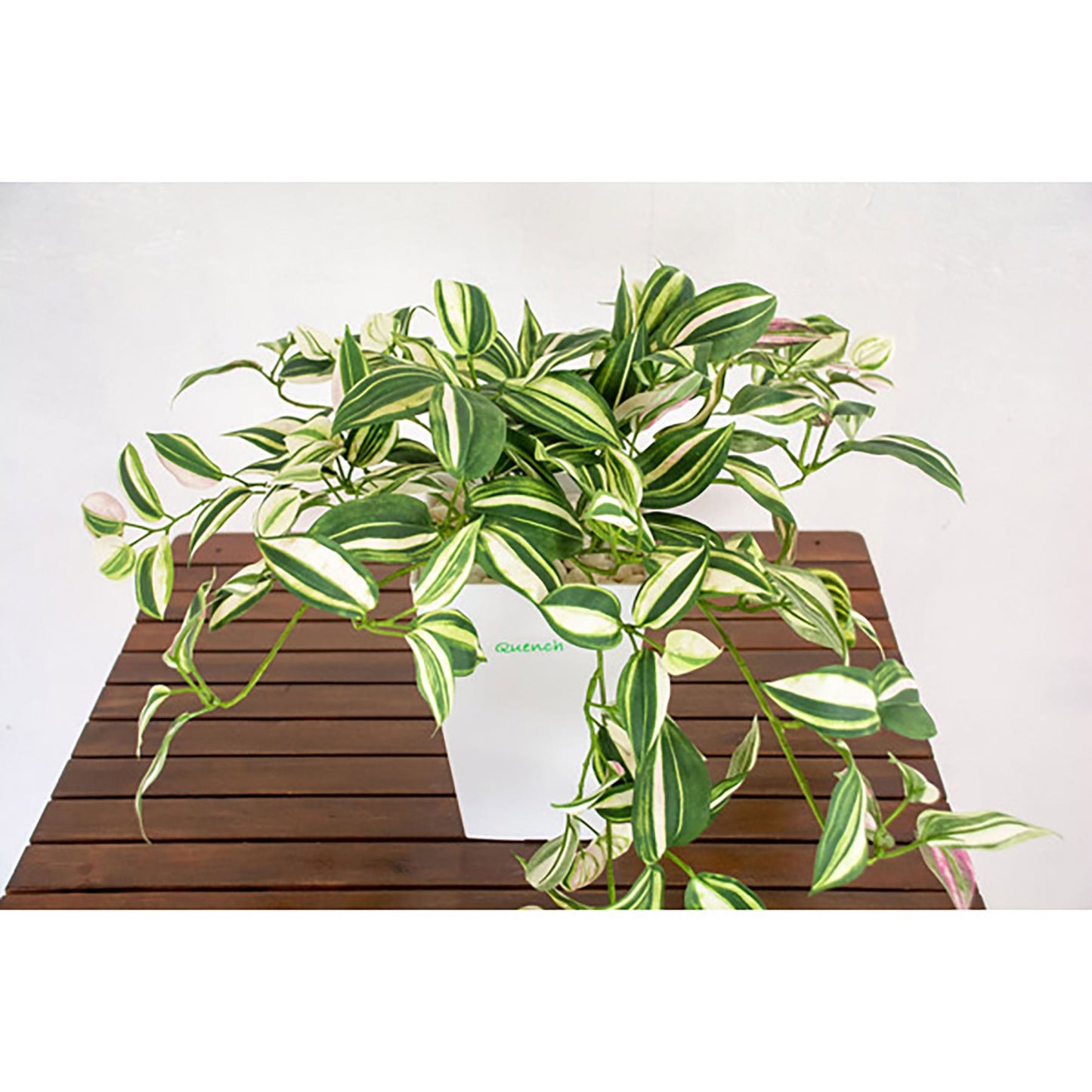 人工樹木/人工観葉植物 ワンダーリング