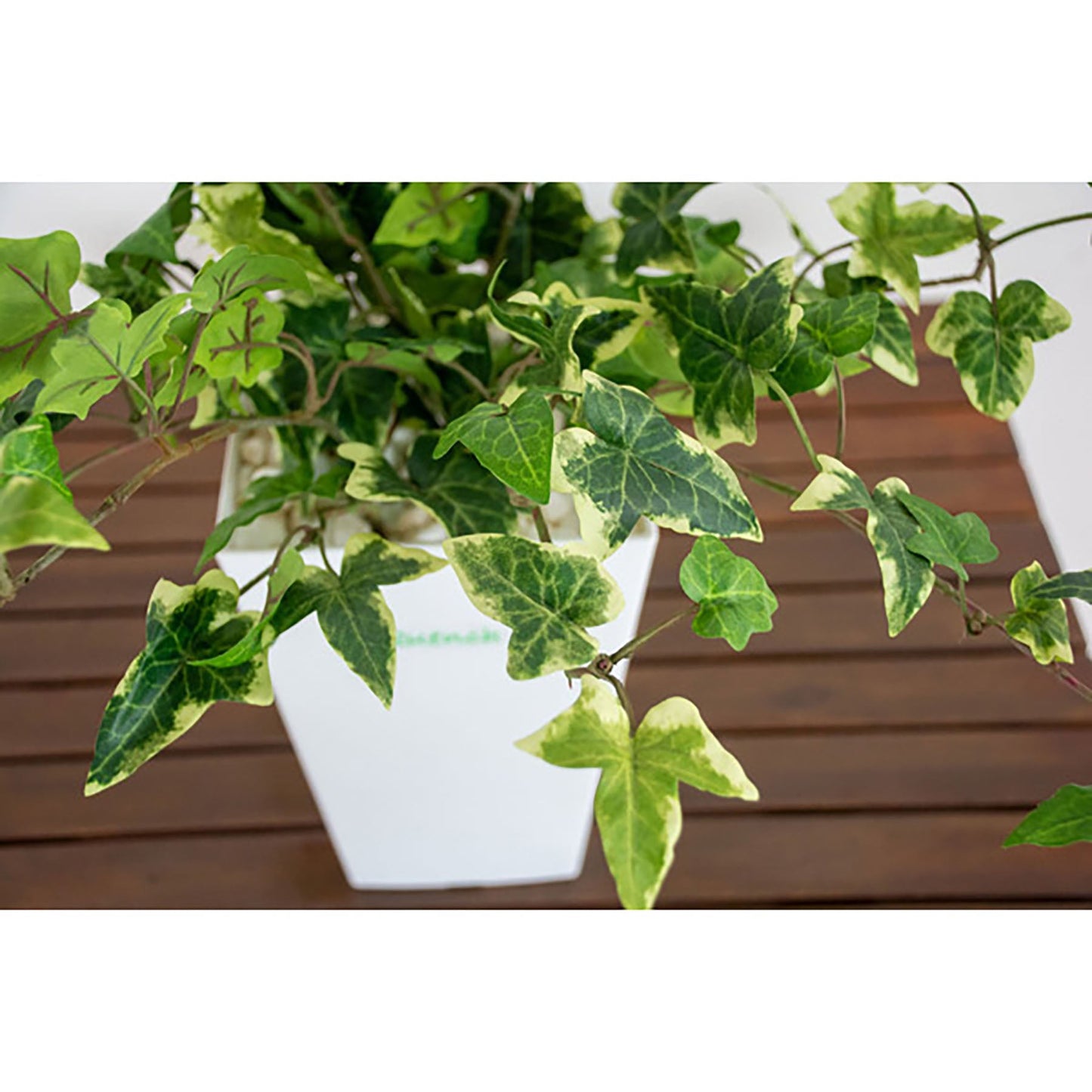 人工樹木/人工観葉植物 アイビー