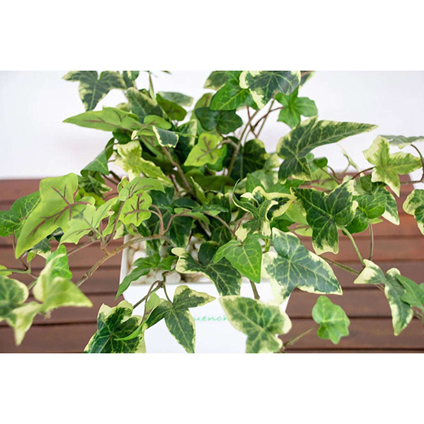 人工樹木/人工観葉植物 アイビー