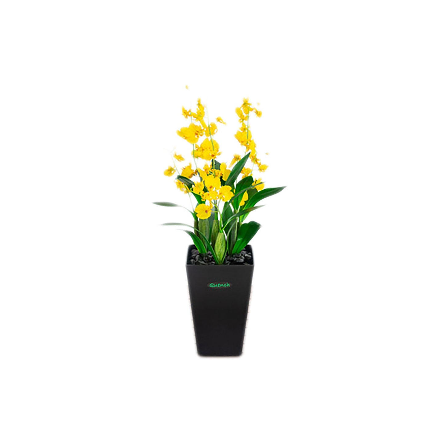 人工樹木/人工観葉植物 オンシジューム