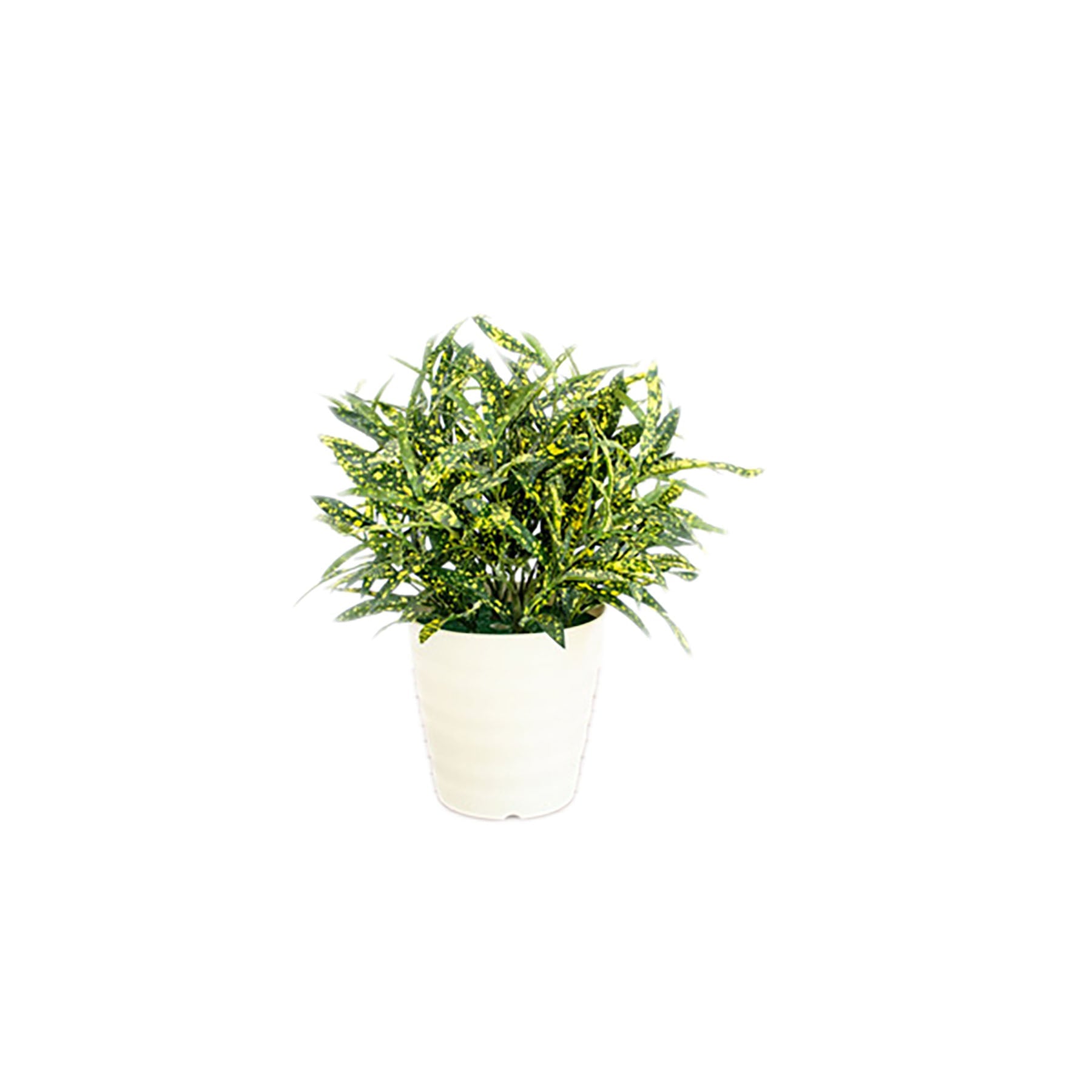 人工樹木／人工観葉植物 ホソバクロトン – GREEN CROSS-select 工事