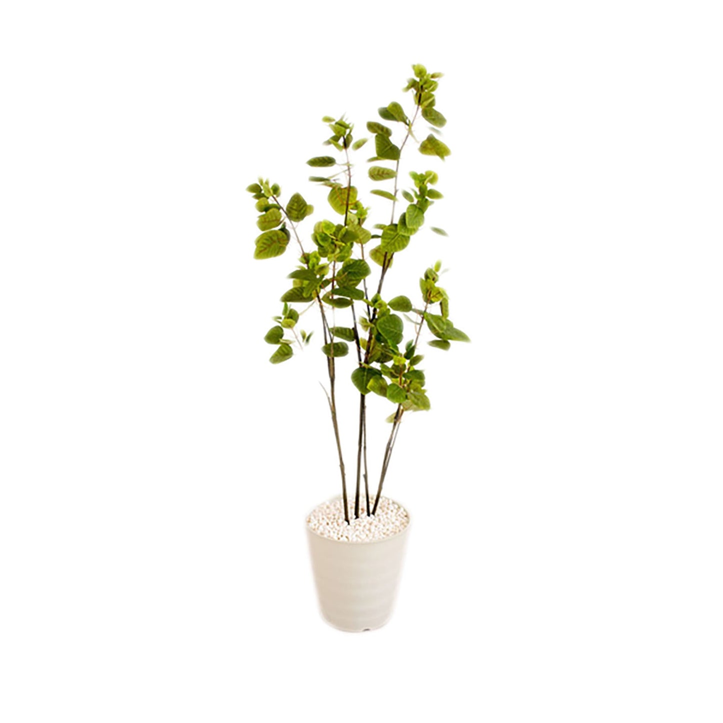 人工樹木/人工観葉植物 スモークツリー