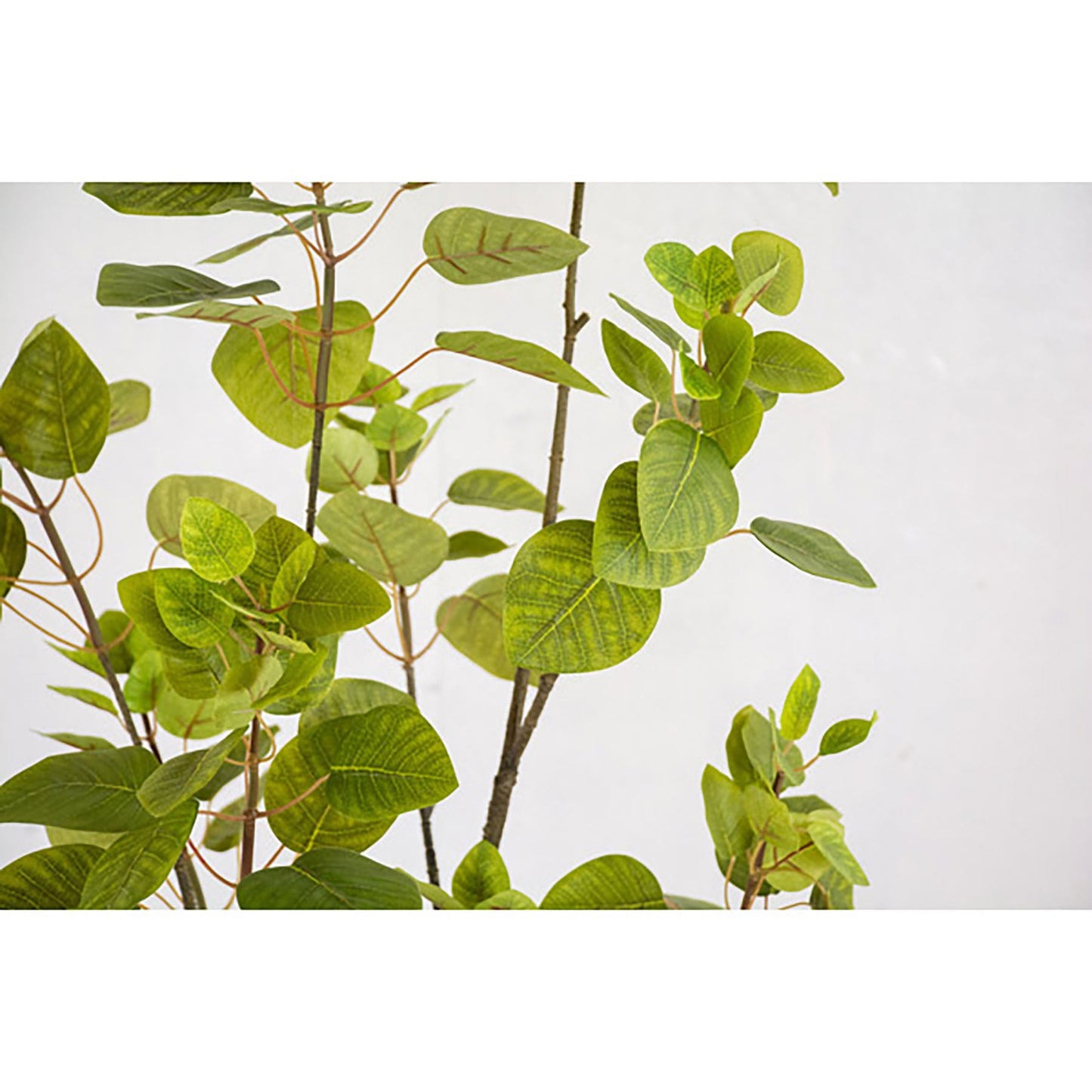 人工樹木/人工観葉植物 スモークツリー