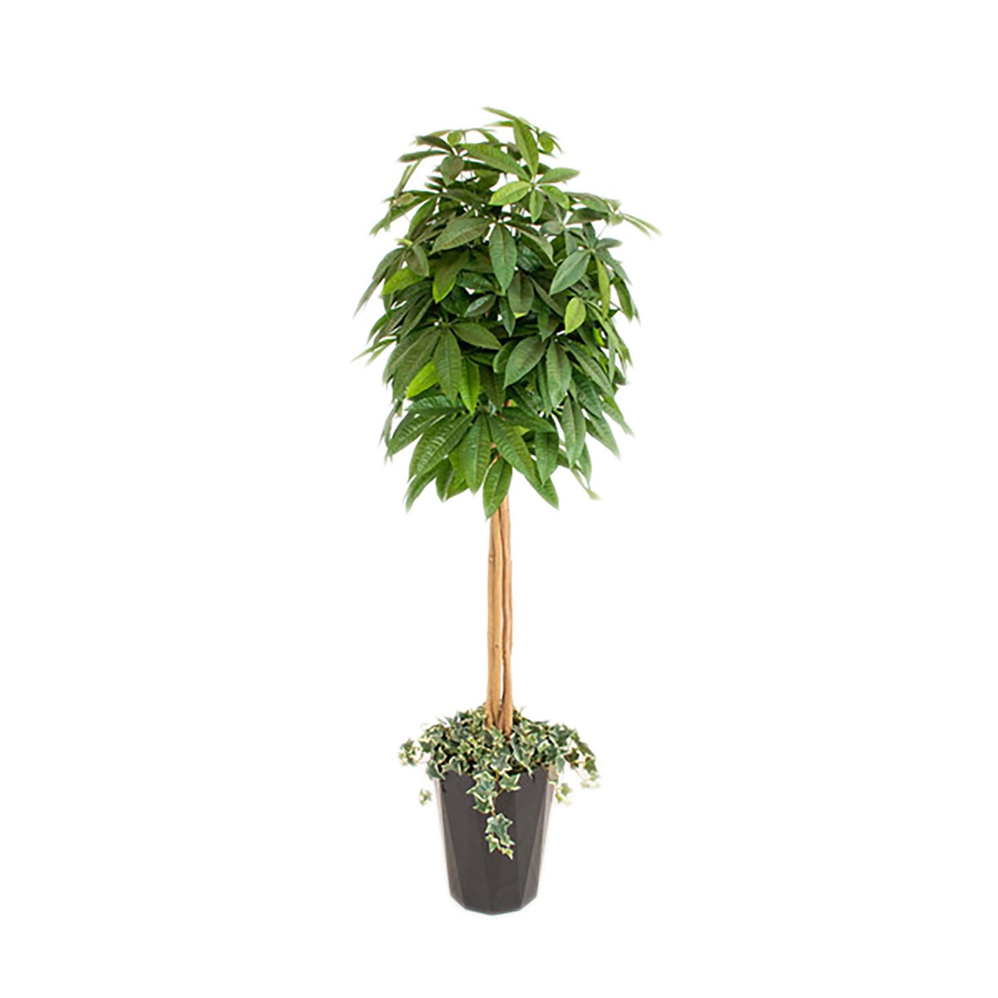 人工樹木/人工観葉植物 パキラ
