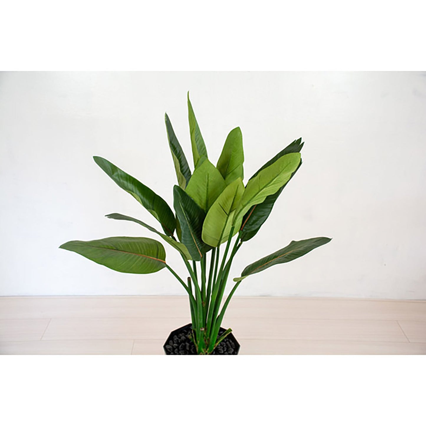 人工樹木/人工観葉植物 ストレチア
