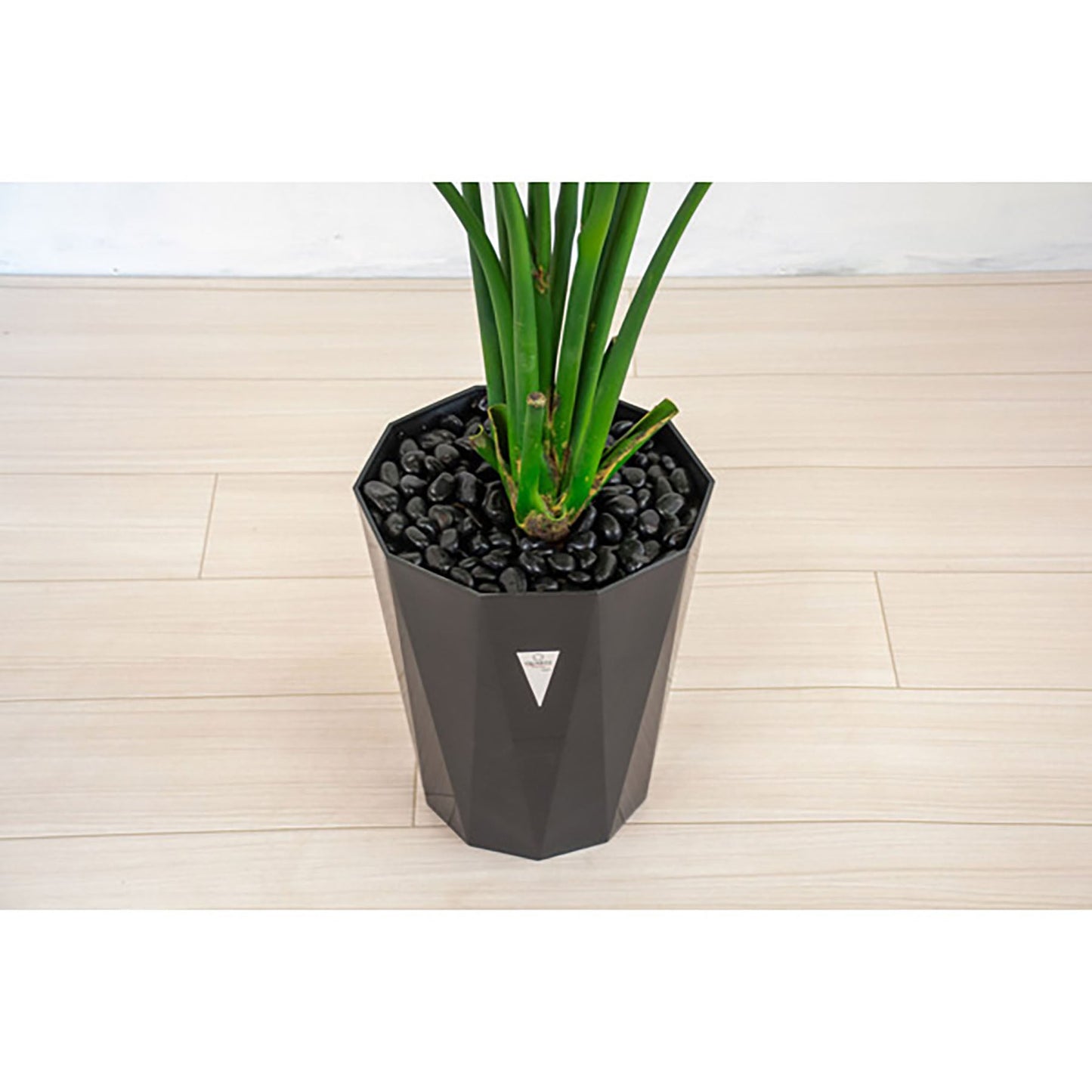 人工樹木/人工観葉植物 ストレチア