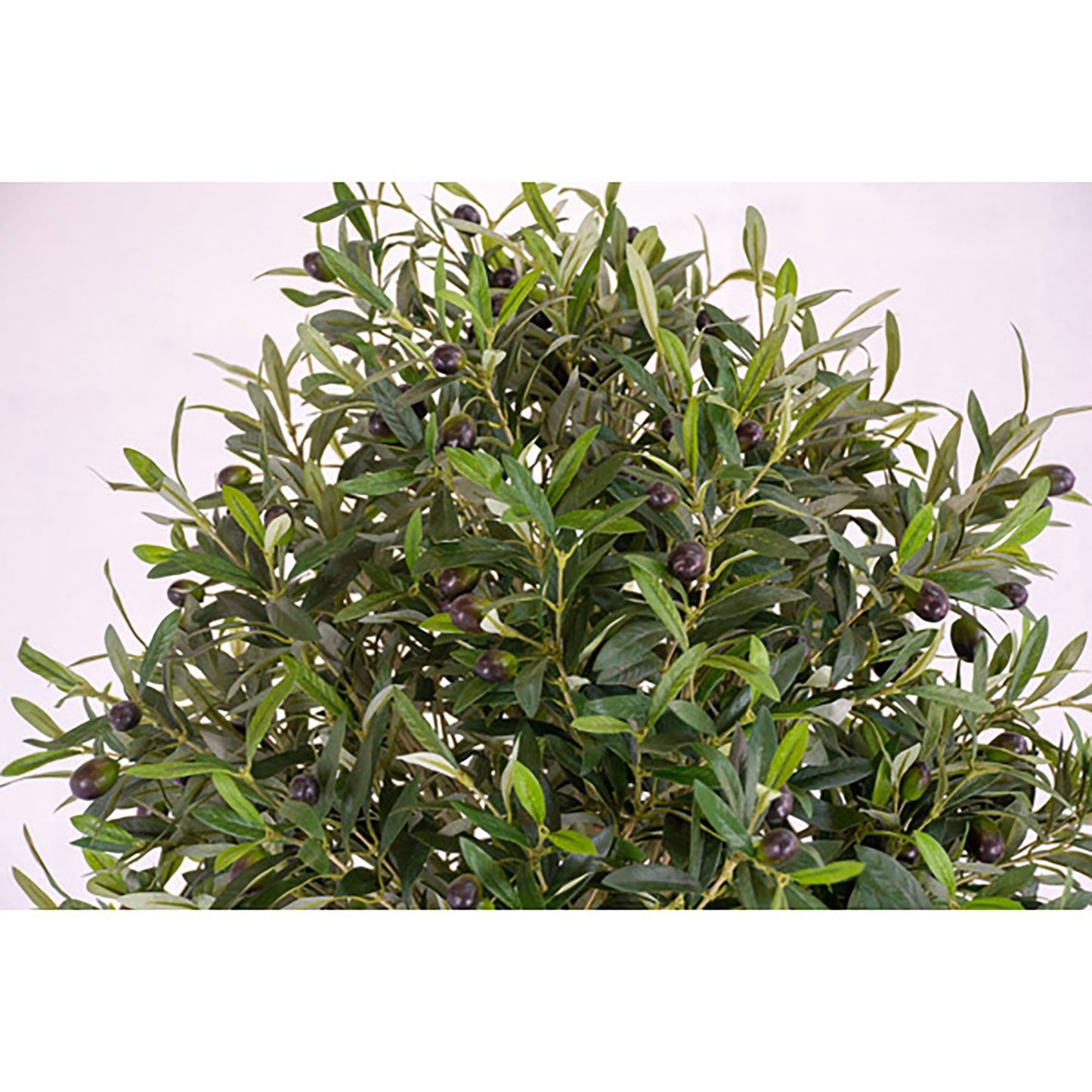 人工樹木/人工観葉植物 オリーブ 180cm
