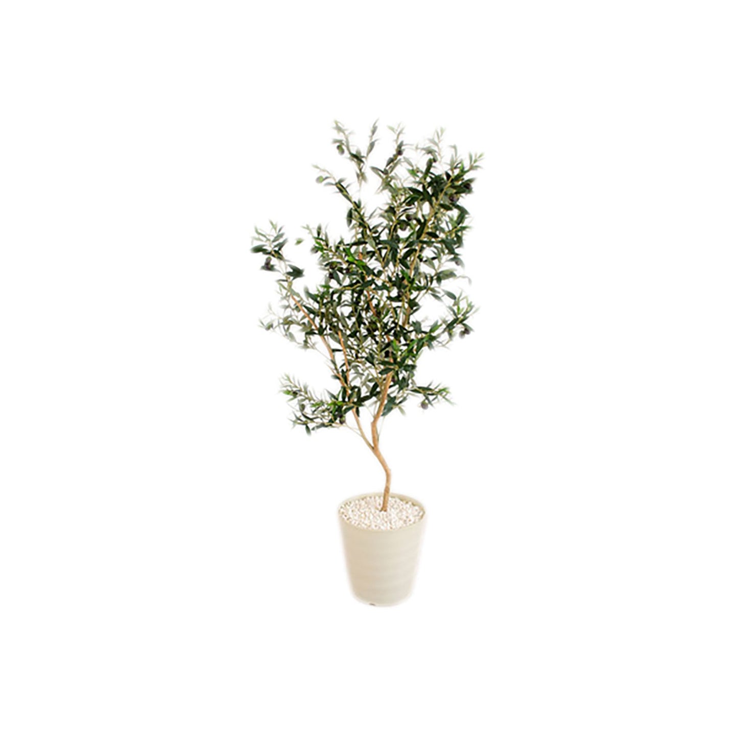 人工樹木/人工観葉植物 オリーブ 160cm