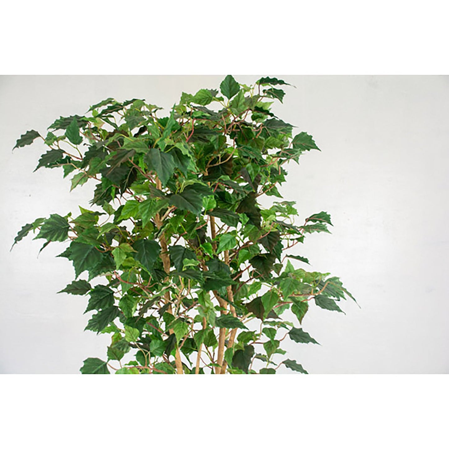 人工樹木/人工観葉植物 バーチ