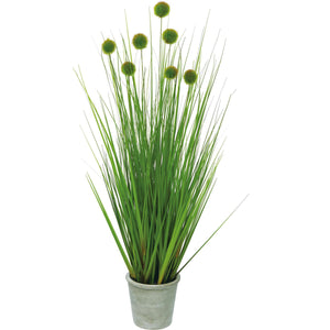 ポンポングラスポットM 全長88cm