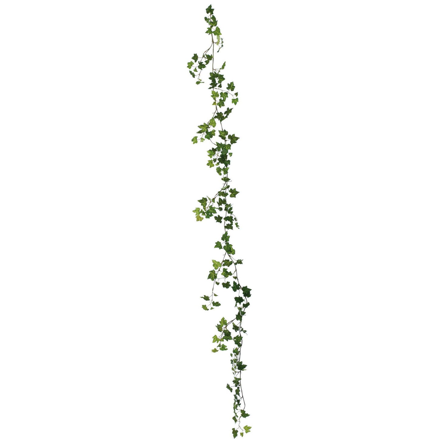 レースアイビーガーランド 全長180cm