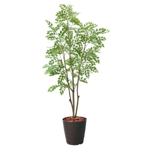 180cmトネリコポット BRL