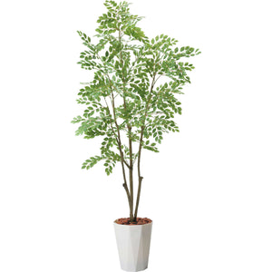 180cmトネリコポット PWL