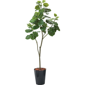 180cmウンベラータポット 幅75 BKL