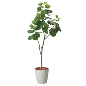 180cmウンベラータポット 幅75 IVL