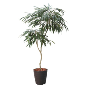 180cmショウナンゴムポット BRL