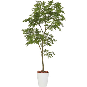 エバーフレッシュ1.8m