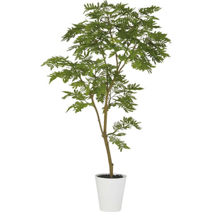 エバーフレッシュ1.5m