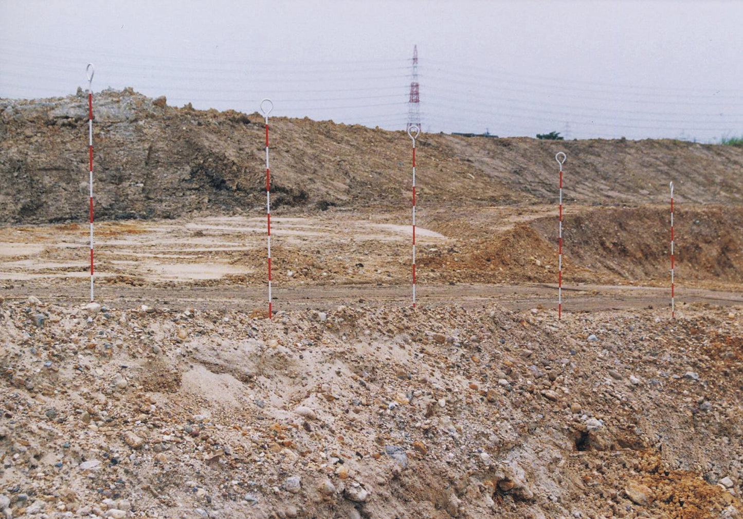 ピンポール 50CM(1本)