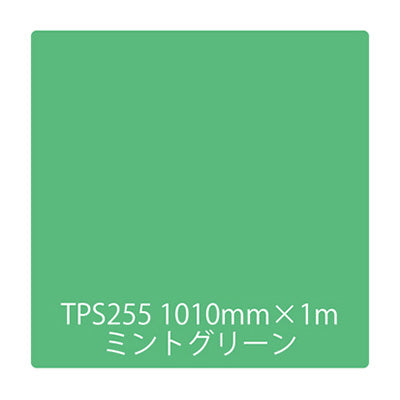 タックペイント 一般タイプ TPS255 ミントグリーン