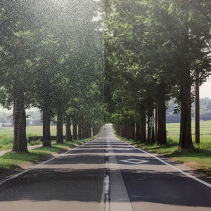 ファサラ　フロスト／マット　ＳＨ２ＥＭＬＡ　ローザンヌ　１２７０ｍｍＸ３０ｍ