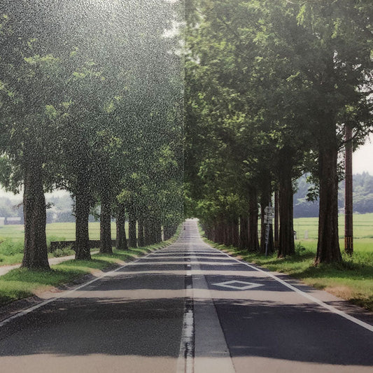 ファサラ　フロスト／マット　ＳＨ２ＥＭＬＡ　ローザンヌ　１２７０ｍｍ（長さは1～29ｍで選択）