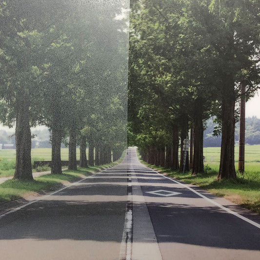 ファサラ　フロスト／マット　ＳＨ２ＦＧＭＲ　マーレ　幅１２７０ｍｍ（長さは1～29ｍで選択可能）